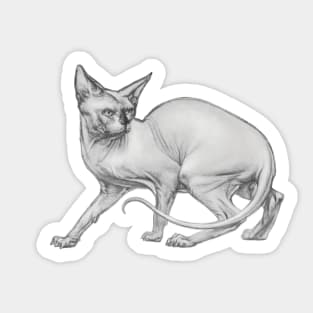 Realistic Sphinx Cat Graphite Drawing - Black and White Art Sticker